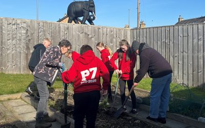 Rosewell Primary P7s Join Our Gardening Team