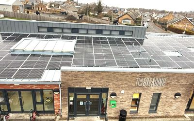 A Sunny Step Forward for The Steading