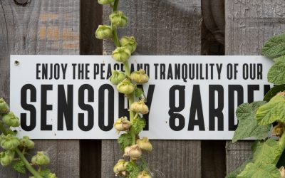Gardening Volunteers Needed This Summer