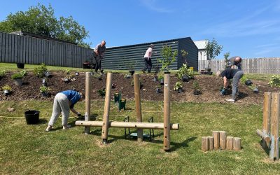 Volunteers Plant New Garden Bed at The Steading