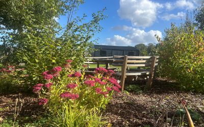 A year of growing: celebrating our gardening volunteers